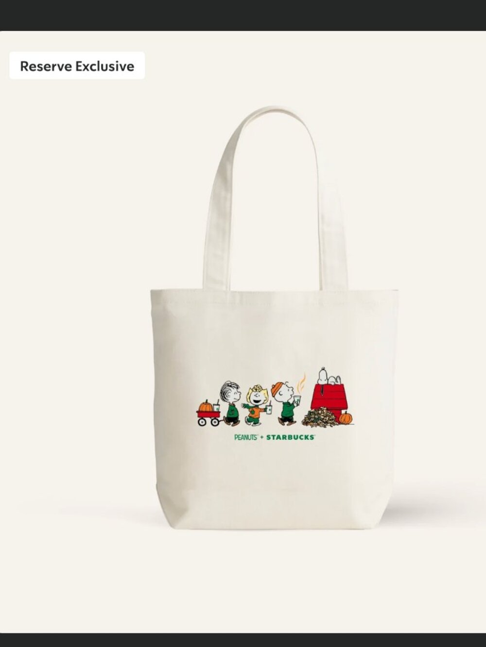Starbucks x Peanuts Snoopy Pumpkin Canvas Tote Bag RARE Reserve Exclusive